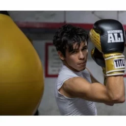 TITLE Ali Training Gloves -Venum Sales aliiftg 2