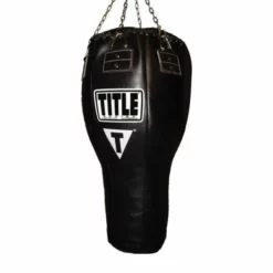 TITLE Big Bang Heavy Bag