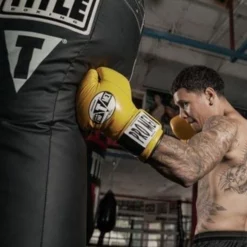 TITLE Big Bang Heavy Bag -Venum Sales big bang 3