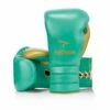 Phenom Boxing SG-202 Sparring Gloves - Lace -Venum Sales green 1 1
