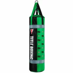 TITLE Greatest Heavy Bag EVER