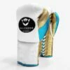 Salvador Professional Fight Gloves