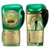 TITLE Boxing WBC Green Belt Training Gloves -Venum Sales tb162 green 1