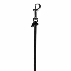 TITLE Boxing Cannon Ball Hanging Bag -Venum Sales tb3164c