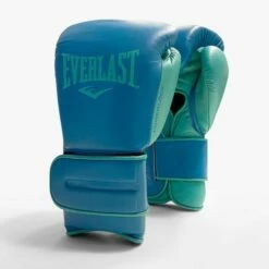 Everlast Powerlock2 Pro Training Boxing Gloves - Hook & Loop -Venum Sales velcro blue 1