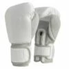 TITLE White Heavy Bag Gloves
