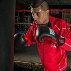 TITLE Dynamic Strike Heavy Bag Gloves -Venum Sales xdbg bk rd 2 1 1